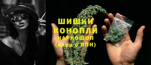 ешки Арсеньев