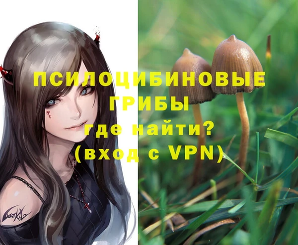 ешки Арсеньев